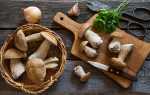 Заготівля білих грибів на зиму — сушка, маринування, соління, відео