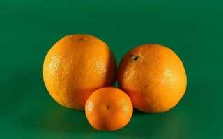 Апельсин і мандарин — користь фруктів для організму, порівняння змісту компонентів, відео
