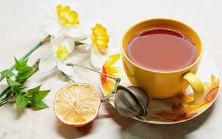 Чай з лимоном, імбиром і медом — калорійність напою, користь і шкода, рецепт напою для схуднення, зелений чай, фото, відео