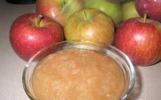Кращі рецепти яблучного пюре на зиму в домашніх умовах з фото