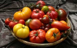 Яке насіння томатів вибрати? Характеристики сортів томата. фото