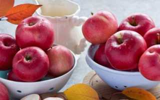 Повидло з яблук на зиму: кращі рецепти