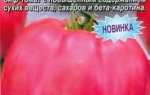 Сорт томата Малиновий велетень: характеристика і опис сорту, особливості вирощування