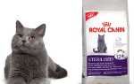 Корм Роял Канін для кішок — спеціальні лінійки для кошенят, стерилізованих котів, хворих тварин, відео