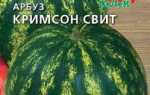 Коли садити кавуни на розсаду в 2019 році за місячним календарем Вирощування і догляд в Підмосков’ї, на Уралі, в Сибіру