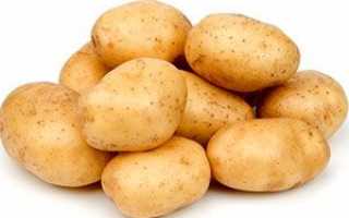 Чим може бути корисний картопля при його використанні в дієтології + відео