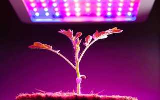 Світлодіодні світильники для городу на підвіконні. Світлодіодне освітлення для вирощування рослин. фото