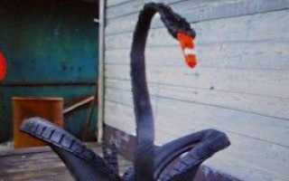 Як зробити лебедя з покришки — шини, відео