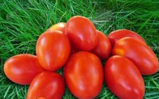 Сорти помідорів з фото і описом: нові, кращі, популярні