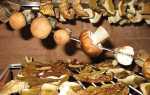 Сушені гриби — як готувати перловку, суп, підливу, відео