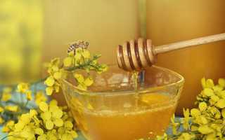 Ріпаковий мед — користь і шкода, протипоказання до застосування, відео