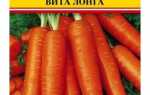Морква Віта Лонга: опис сорту, рекомендації по вирощуванню, боротьбі з шкідниками і збору