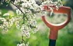 Весняні роботи в саду в травні місяці, догляд за плодовими деревами та чагарниками, відео