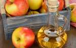Яблучний оцет в домашніх умовах простий рецепт із соку і макухи