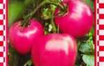 Сорт томатів Малинове диво: характеристика і опис сорту, фото, рекомендації по вирощуванню