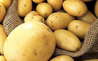 Вирощування картоплі під соломою і за голландською технологією, відео