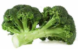 Чим корисна капуста броколі? Корисні властивості і як правильно готувати броколі