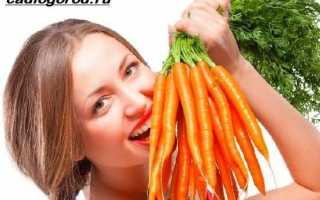 Вирощування моркви. Як і коли садити моркву? Догляд за морквою
