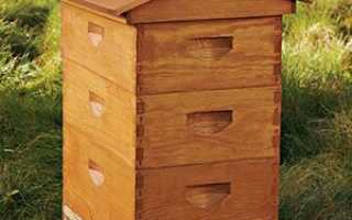 Вулики для бджіл — виготовлення своїми руками за кресленнями, як зробити рамки для бджіл, ціна, відео