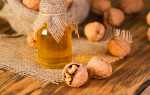 Волоські горіхи з медом — користь і шкода для чоловіків, жінок, як приймати, відео