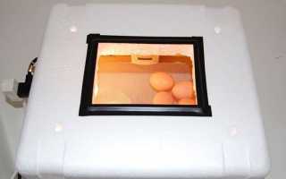 Інкубатор своїми руками зроблений в домашніх умовах з холодильника, пінопласту, з автоматичним поворотом яєць, креслення з розмірами, відео