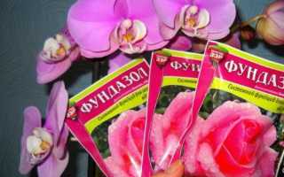 Переваги фундазолу для орхідей