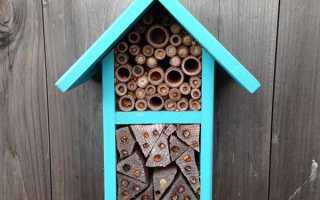 Будиночки для одиночних бджіл — як побудувати, вибрати матеріал, відео