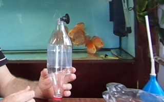 Інкубатор для ікри акваріумний саморобний, відео