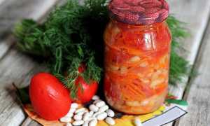 Салат з квасолею на зиму — смачні рецепти приготування грецького сала, квасолі з буряком або кабачками, відео