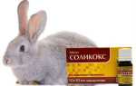 Препарат Солікокс для кроликів — дозування, термін застосування, відео