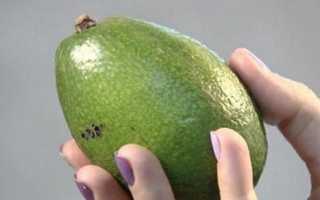 Як прискорити дозрівання авокадо в домашніх умовах, відео-лайфхак