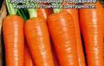 Морква Канада f1: опис сорту і рекомендації по вирощуванню