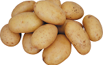 Обробка бульб картоплі перед посадкою від колорадського жука