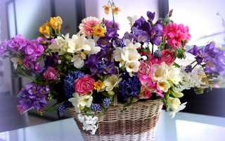 Квіти для букетів — фото і назви популярних кольорів, складання композиції, відео
