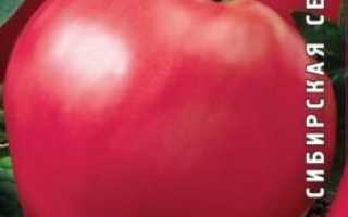 Томат Абаканский рожевий: характеристика і опис сорту, поради агрономів по вирощуванню