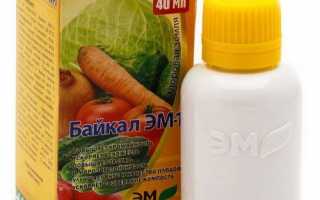 Добриво Байкал ЕМ-1 — застосування для кімнатних рослин