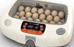 Інкубатори для курячих яєць автоматичні — ціна, виготовлення інкубаторів з автоматичним поворотом яєць своїми руками, відео