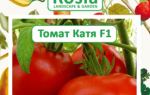 Томат Катя F1: характеристика і опис сорту, рекомендації по вирощуванню