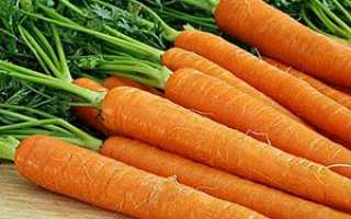 Морква — засіб від хвороб, корисні властивості, відео