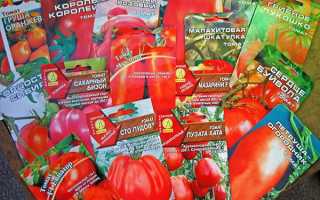 Кращі сортове насіння — список агрофірм Росії виробників насіння, відео