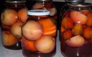 Компот з персиків на зиму — рецепти приготування з додаванням слив, яблук методом стерилізації і без, відео