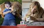 Корм Хіллс для кішок і собак — сухий, лікувальний, для цуценят і кошенят, відео