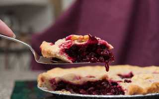 Пиріг з журавлиною — покрокові рецепти з фото, в духовці, мультиварці, відео