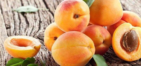 яскраві соковиті плоди абрикоса