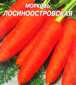 морква Лосіноостровская