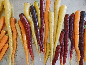 різнобарвна морква