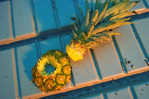 Зелену верхівку плоду використовують для вирощування нового ананаса