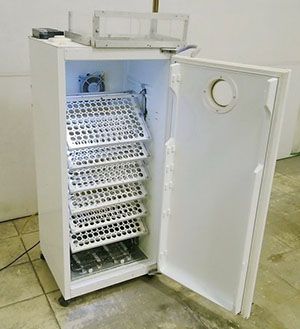 Інкубатор з холодильника