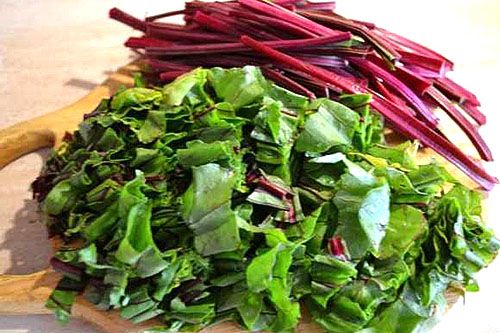 Заготовляємо бурякове бадилля на зиму