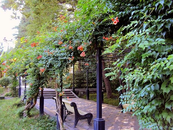 арка у дворі